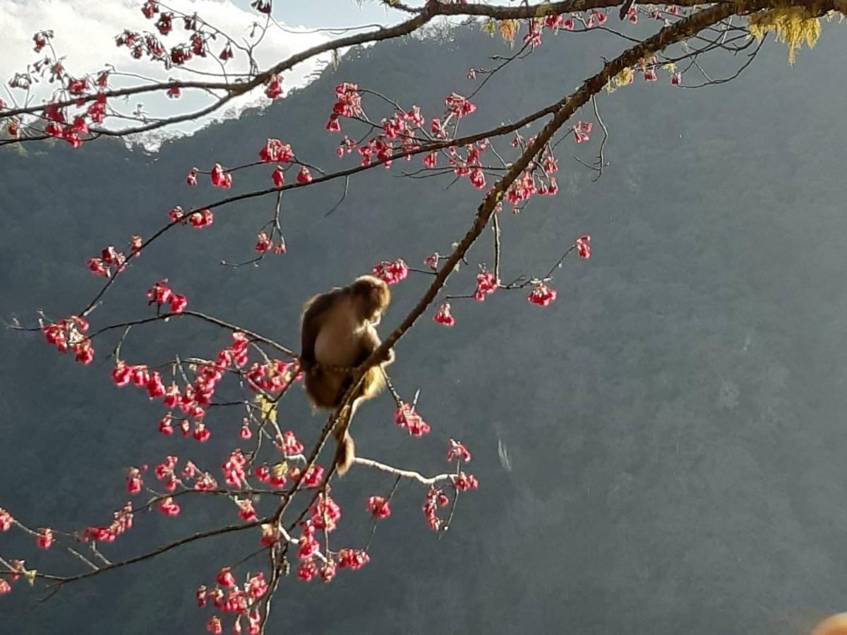 慢水山丘民宿 Slow Water Hill Yuemei Dış mekan fotoğraf